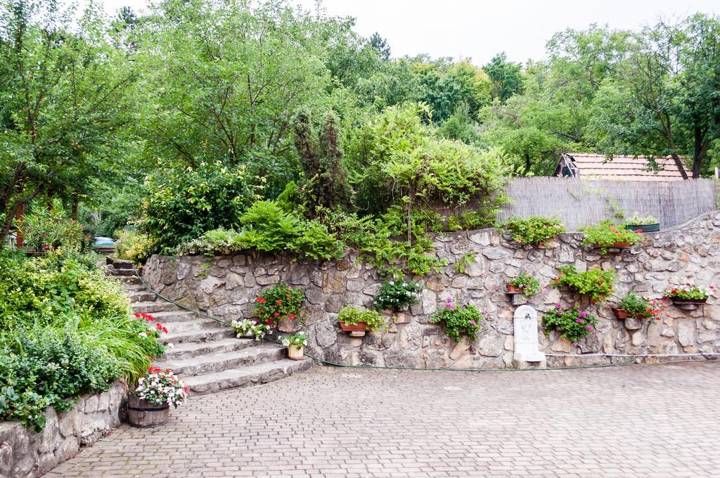 Babahaz Villa Bodajk ภายนอก รูปภาพ