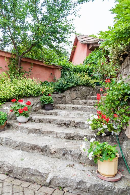 Babahaz Villa Bodajk ภายนอก รูปภาพ
